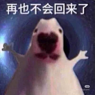 JGzhajing's profile picture