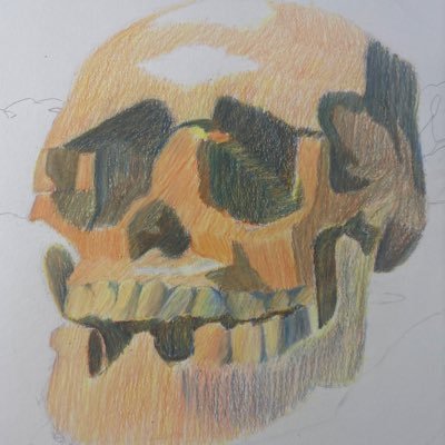 solar's profile picture