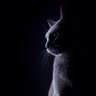 Фото профиля Ana Inverso