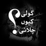 Фото профиля Zaib Un Nisa 🇵🇰🌐