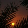 ابراهيم السكيتي's profile picture