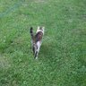 TheCatsandMe 的头像