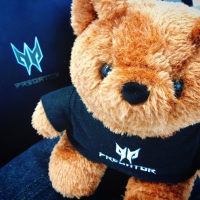 predator_bear's profile picture