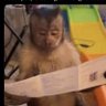 Фото профиля Satire