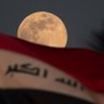 د.عبدالرحمن القيسي's profile picture