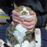 ちょりそ 的头像