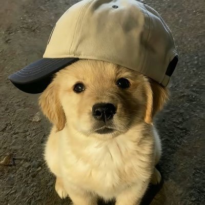 wanwan3loveu's profile picture