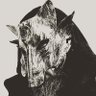 WastelandWerewolf 的头像