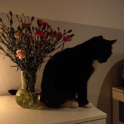mars.'s profile picture