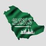 mahamad asad's profile picture
