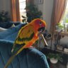 Jame300ug profil fotoğrafı