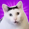 Profilbild von 盧推特