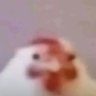 Ethan profil fotoğrafı