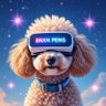 Benson Peng's profile picture