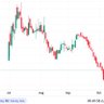 smallcap 的头像