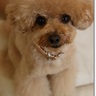 hiro's profile picture