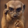 M Amos Baitere's profile picture