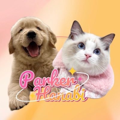 🧡P.lert P.tang🤍's profile picture