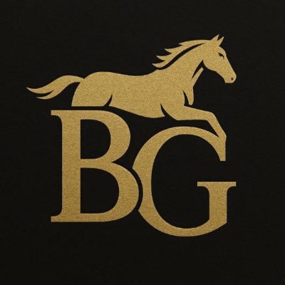 barisgoksucom's profile picture