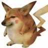 Panda's profile picture
