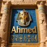 elzawe profil fotoğrafı