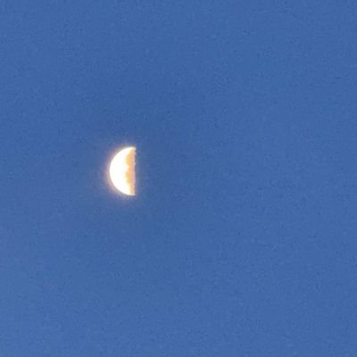 🌙's profile picture