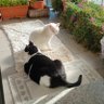 Angy profil fotoğrafı