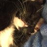 Plastic_Muffin🍞 profil fotoğrafı