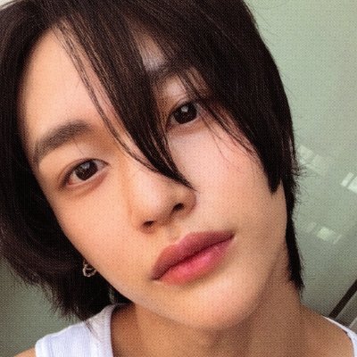 너울's profile picture