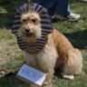The Olde Geek's profile picture