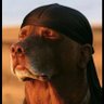 Profilbild von Honorable๐ต๐ช