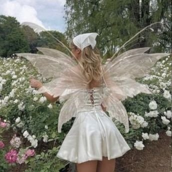 softly magical°🦢♡'s profile picture