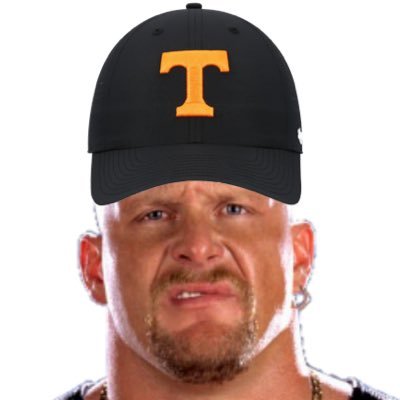 Stone Cold Steve Volstin's profile picture