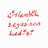 Profilbild von çitlembik sertaç