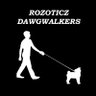 Rozoticz's profile picture