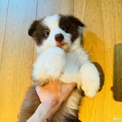 南南呀's profile picture