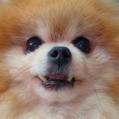goddamnmushroom's profile picture