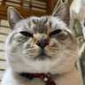 じーん profil fotoğrafı