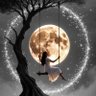 Moonlight 11:11 🌙🪄✨ profil fotoğrafı