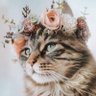 Felicidad's profile picture