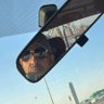 محمد العصيمي 的头像