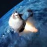 Profilbild von oscar