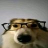 v v's profile picture