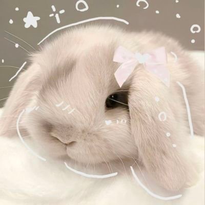 번니 🌷 (◕ᴗ◕✿) ➹ บอนอเป็นบัวลอย ♡'s profile picture