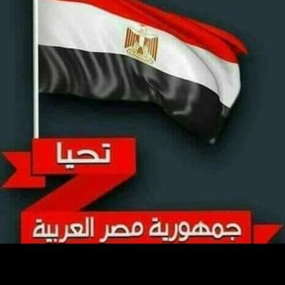 magdylotfy236's profile picture