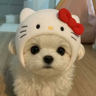 ᵗᵗ 𐙚 ̊'s profile picture