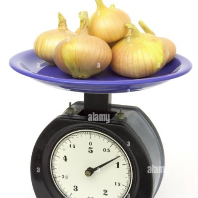 onionweigher 🧅⚖️'s profile picture