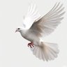 Yashim's profile picture