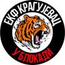 Profilbild von БЛОКАДА ЕКФ КГ