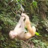 Profilbild von 文亘古遗🐒四代目(马应龙猎妈版)